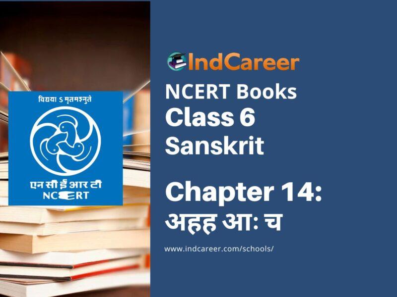 NCERT Book for Class 6 Sanskrit : Chapter 14-अहह आः च
