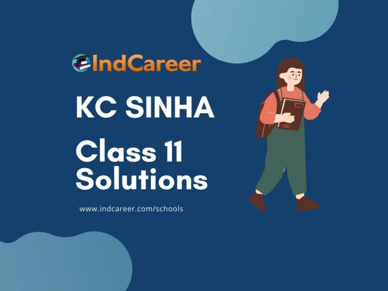 KC Sinha Solution for Class 11