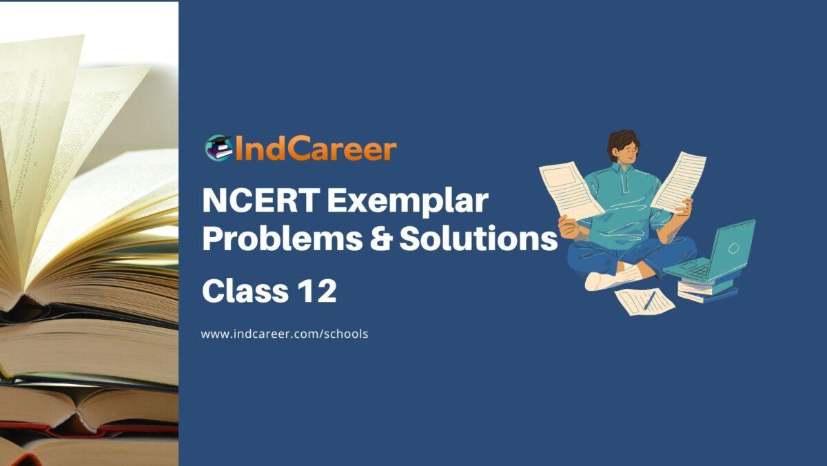 NCERT Exemplar Class 12 Important Questions