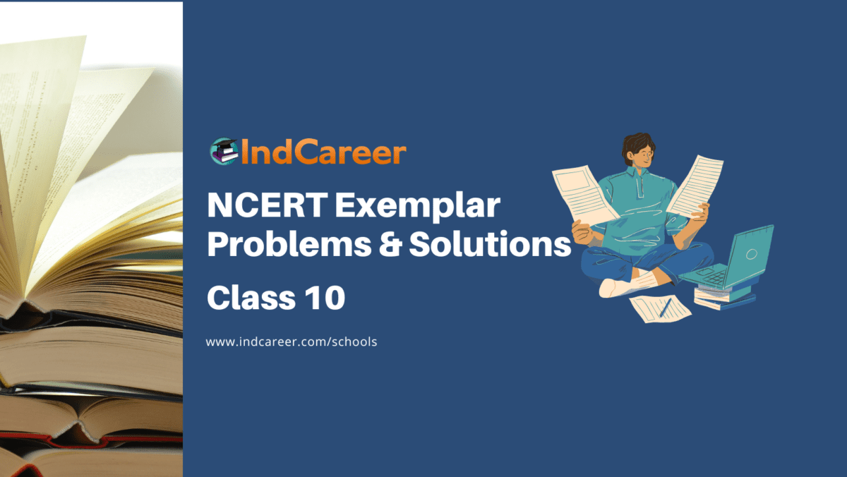NCERT Exemplar Class 10 Important Questions & Solutions