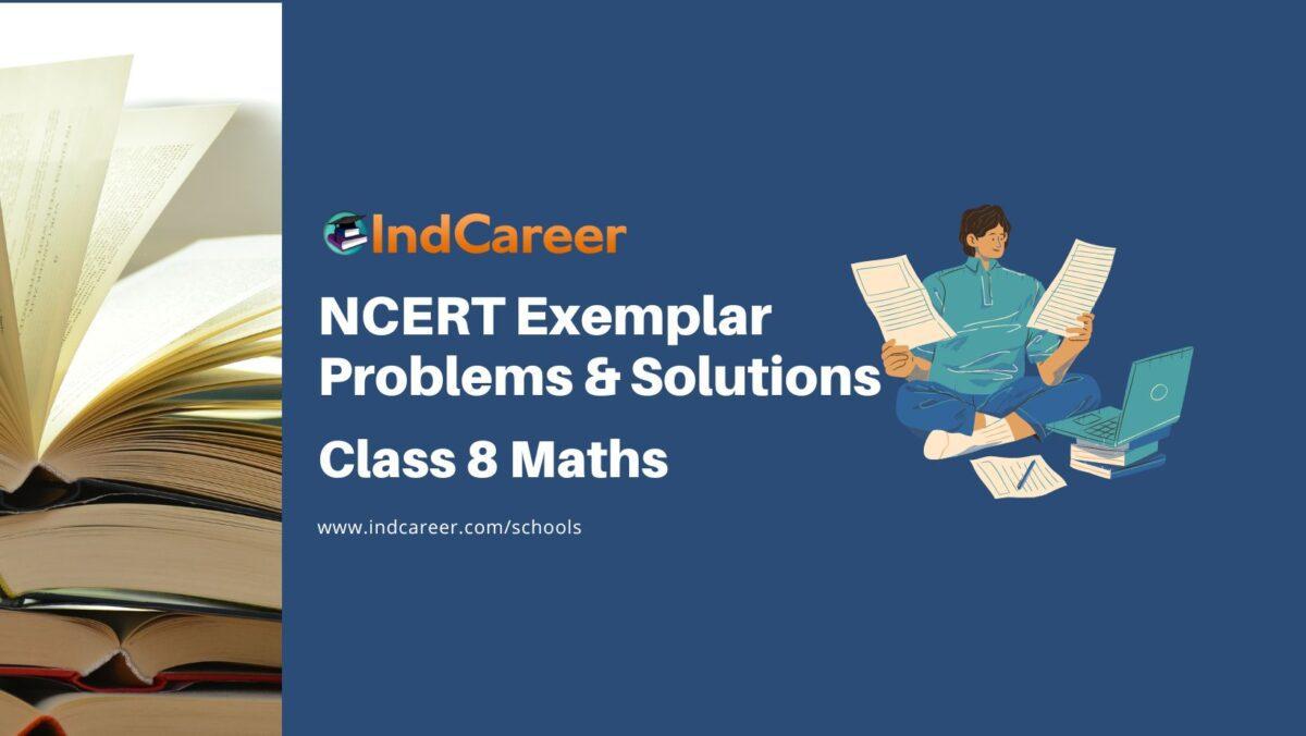 NCERT Exemplar Class 8 Maths Solutions