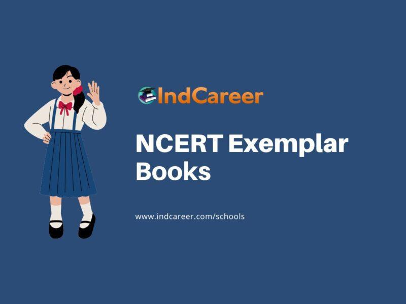 NCERT Exemplar Books