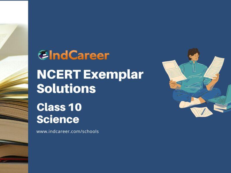 NCERT Exemplar Class 10 Science Solutions