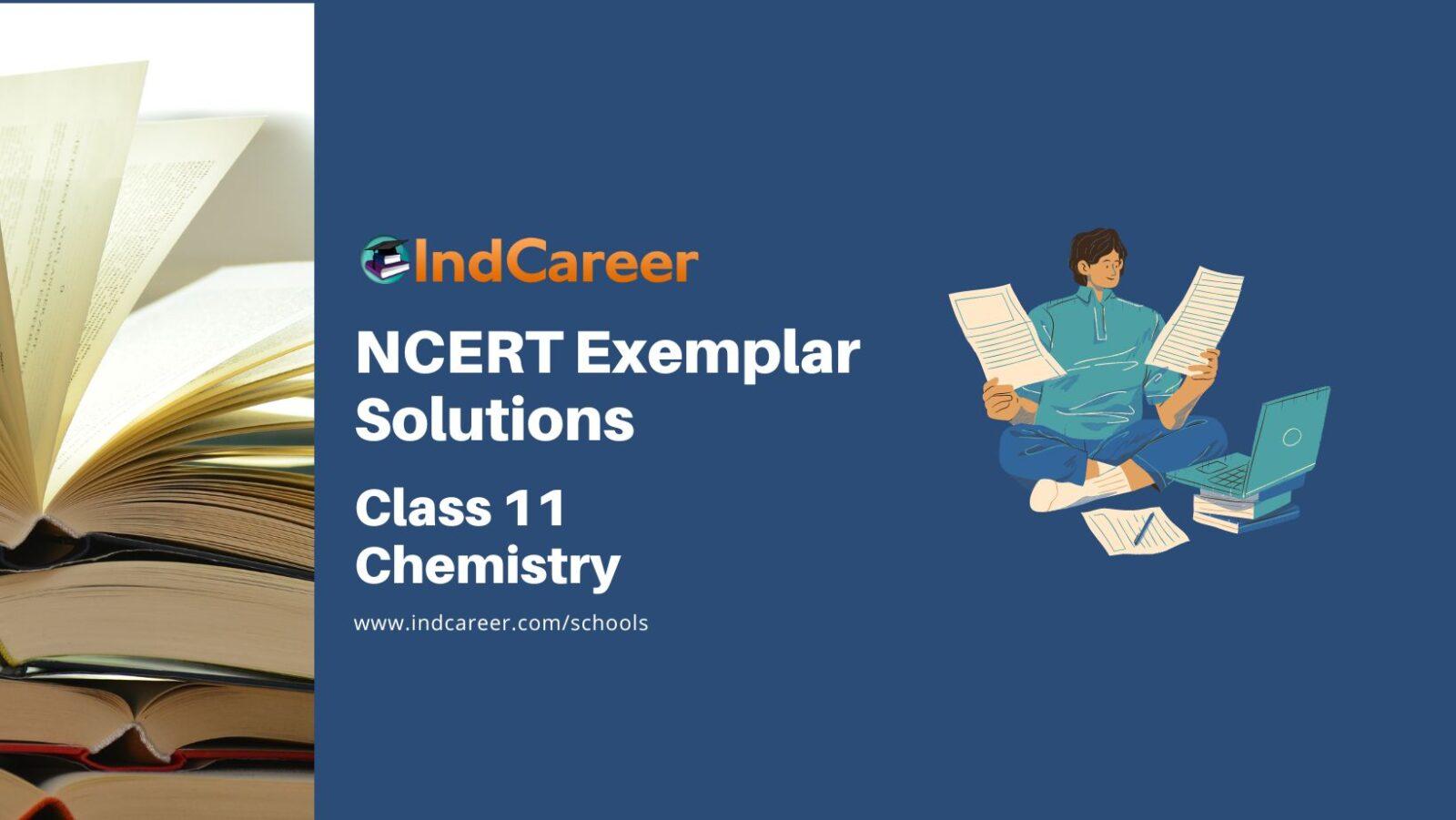 NCERT Exemplar Class 11 Chemistry Solutions