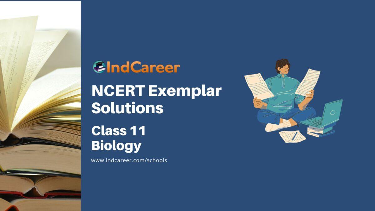 NCERT Exemplar Class 11 Biology Solutions