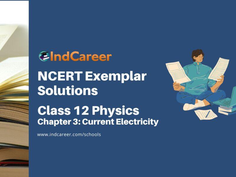 NCERT Exemplar Class 12 Physics Chapter 3: Current Electricity