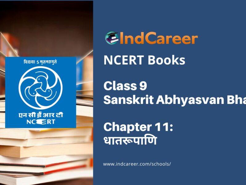NCERT Book for Class 9 Sanskrit Abhyasvan Bhav Chapter 11 धातरूपाणि