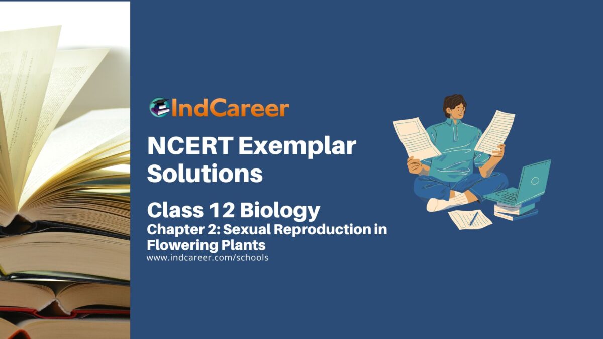 NCERT Exemplar Class 12 Biology Chapter 2: Sexual Reproduction in Flowering Plants