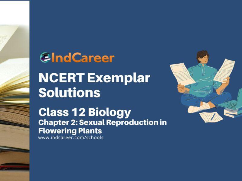 NCERT Exemplar Class 12 Biology Chapter 2: Sexual Reproduction in Flowering Plants