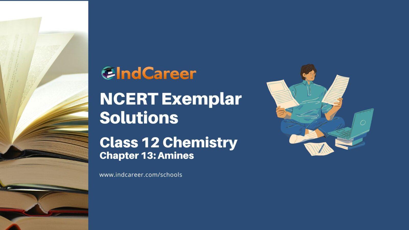 NCERT Exemplar Class 12 Chemistry Chapter 13: Amines