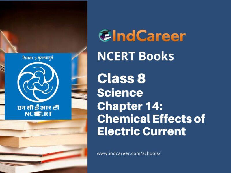 NCERT Book for Class 8 Science Chapter 14 Chemical Effects of Electric Current