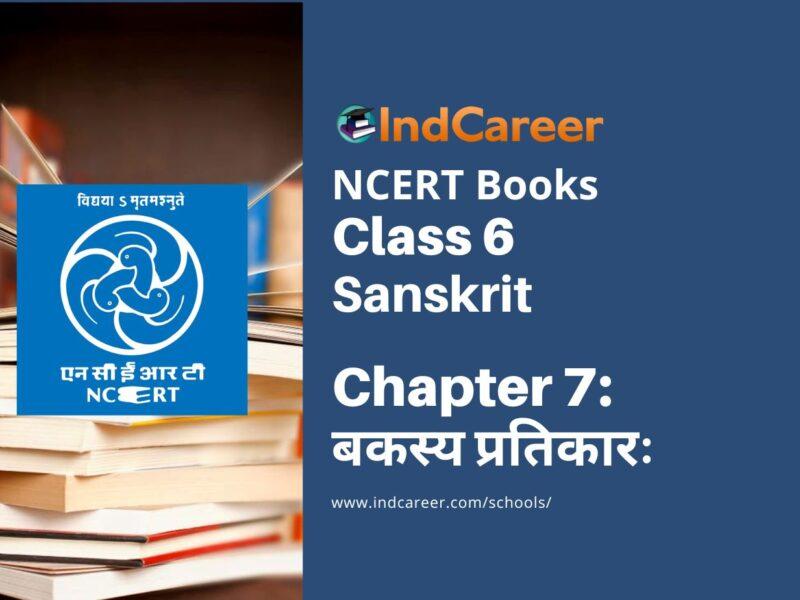 NCERT Book for Class 6 Sanskrit : Chapter 7-बकस्य प्रतिकारः