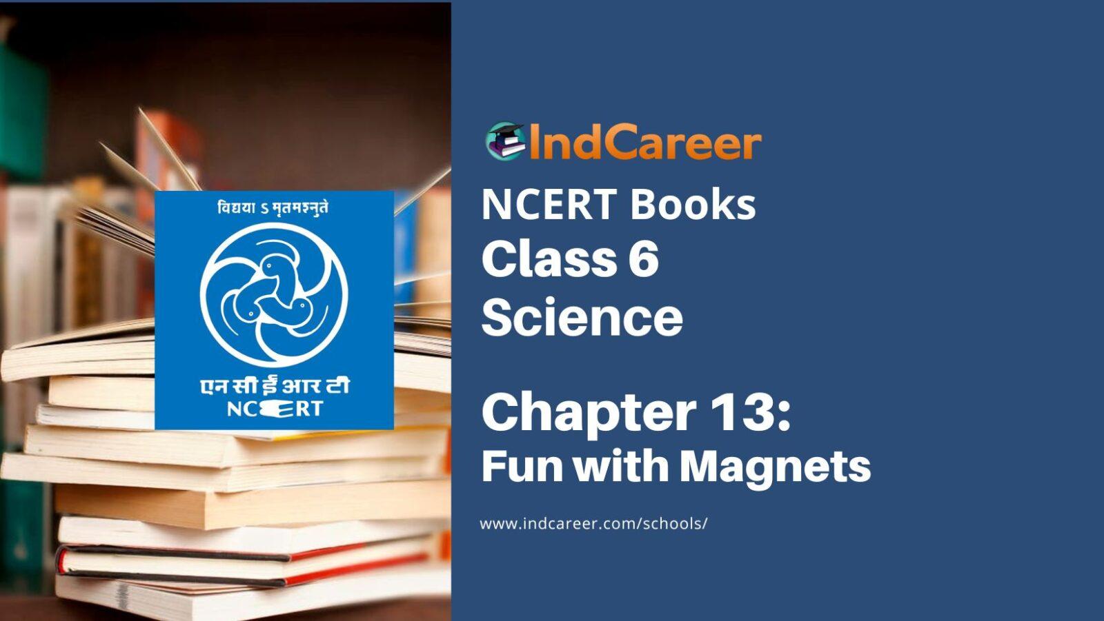 NCERT Book for Class 6 Science: Chapter 13-Fun with Magnets