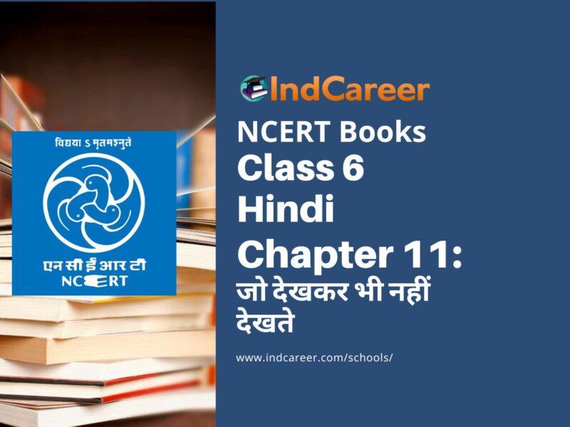 NCERT Book for Class 6 Hindi(Vasant Bhag 1) : Chapter 11-जो देखकर भी नहीं देखते
