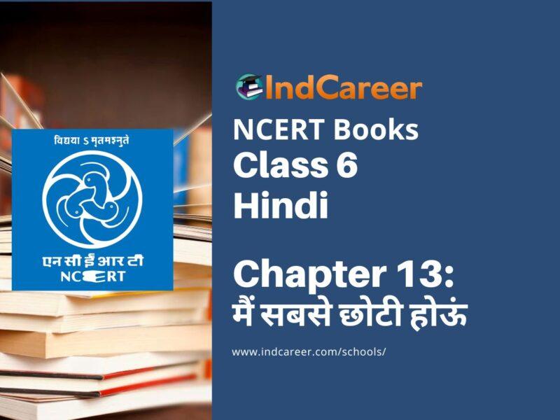 NCERT Book for Class 6 Hindi(Vasant Bhag 1) : Chapter 13-मैं सबसे छोटी होऊं