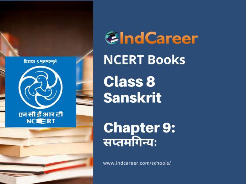 NCERT Book for Class 8 Sanskrit Chapter 9 सप्तमगिन्यः