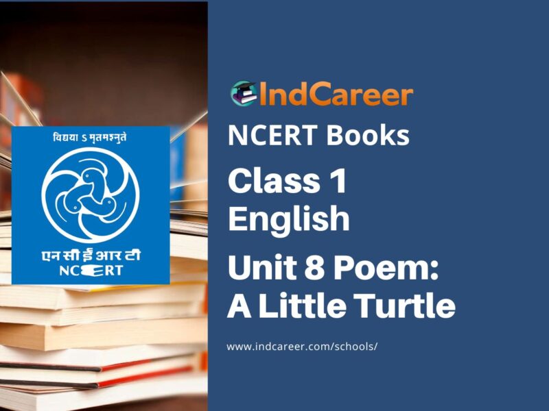 NCERT Book for Class 1 English (Marigold):Unit 8 Poem-A Little Turtle
