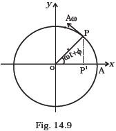 Oscillations