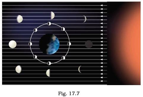 Stars and Solar System