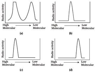 Molecular Basis of Inheritance
