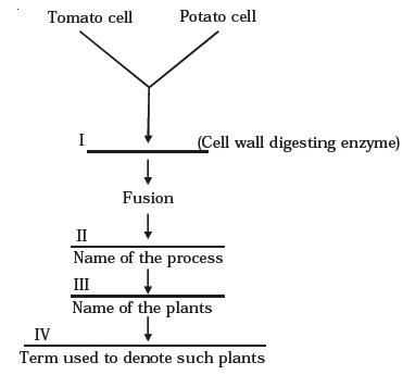 Strategies for Enhancement in Food Production