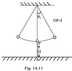 Oscillations