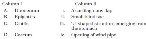 Class 11 Important Questions for Biology - Digestion and Absorption