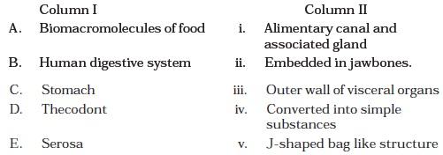 Class 11 Important Questions for Biology - Digestion and Absorption