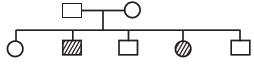 Principle of Inheritance and Variation
