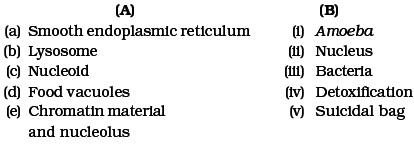 The Fundamental Unit Of Life
