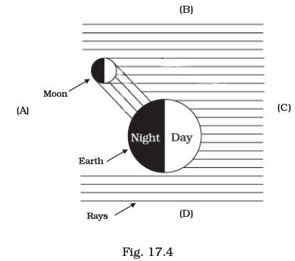 Stars and Solar System