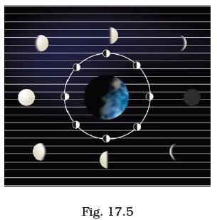 Stars and Solar System