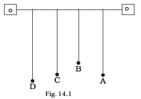 Oscillations