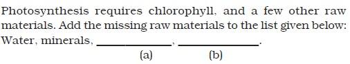 Nutrition in Plants