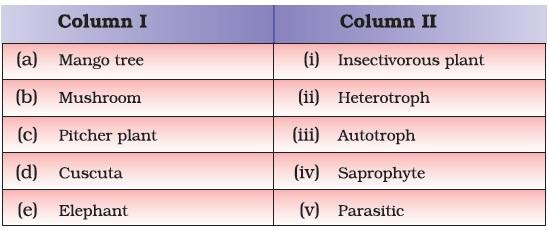 Nutrition in Plants