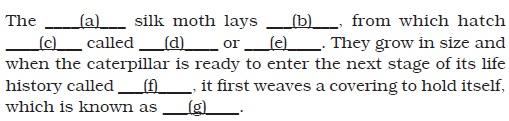 Fibre to Fabric