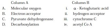 Respiration in Plants