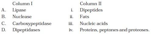 Class 11 Important Questions for Biology - Digestion and Absorption