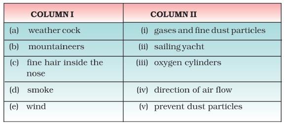 Class 6 Important Questions for Science – Air Around Us