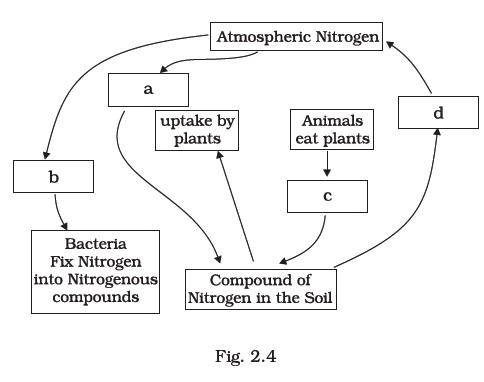 Microorganisms : Friend and Foe