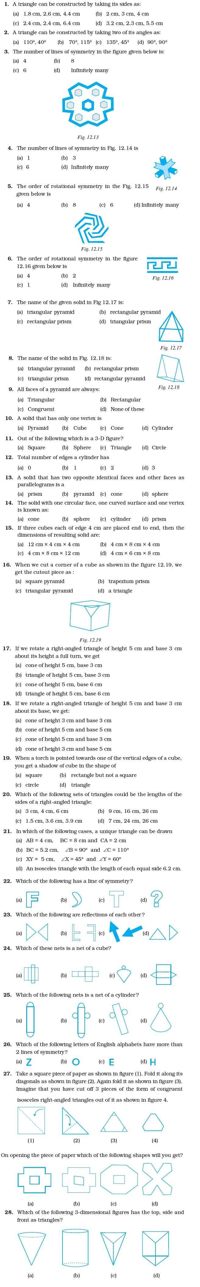 Class 7 Important Questions for Maths – Practical Geometry, Symmetry and Visualising Solid Shapes