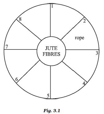 Fibre to Fabric