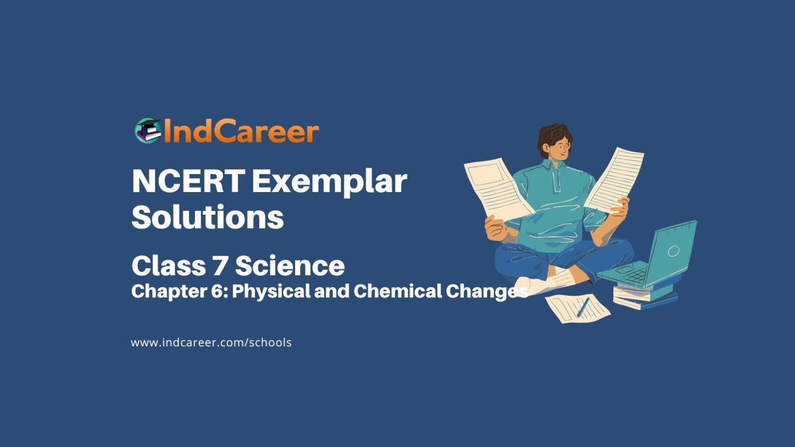 NCERT Exemplar Class 7 Science Chapter 6: Physical and Chemical Changes