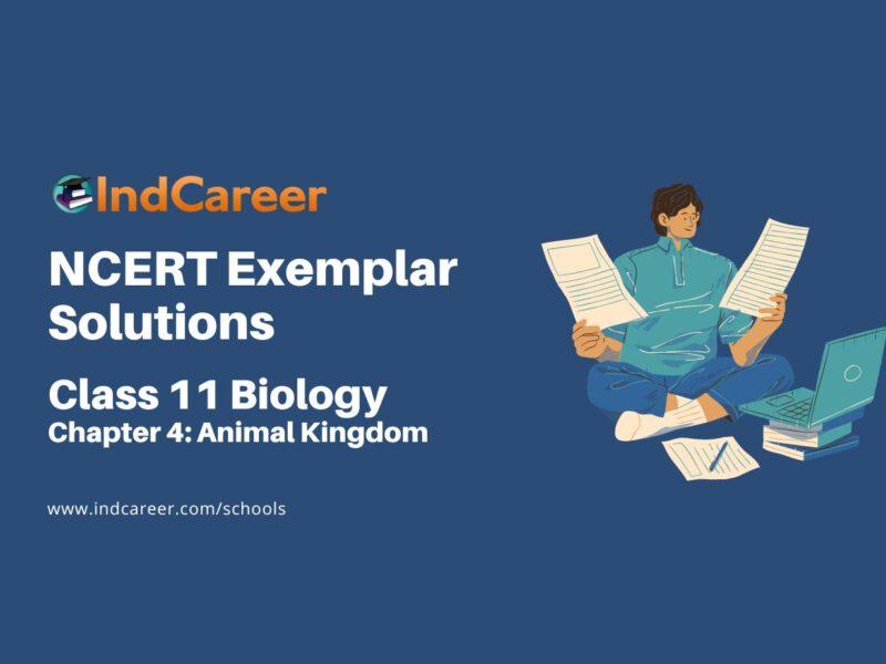 NCERT Exemplar Class 11 Biology Chapter 4: Animal Kingdom
