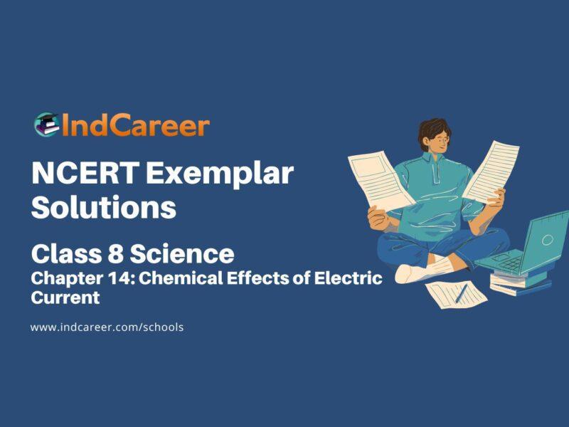 NCERT Exemplar Class 8 Science Chapter 14: Chemical Effects of Electric Current