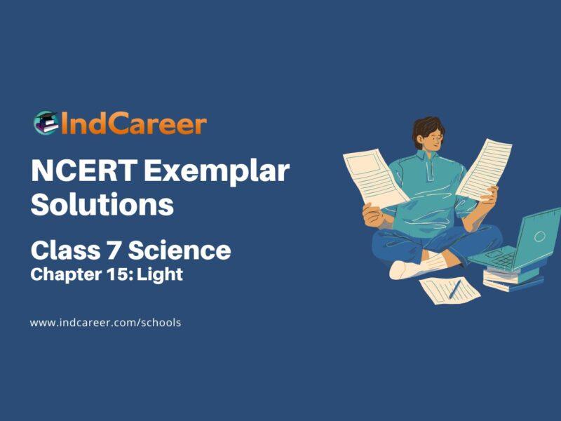 NCERT Exemplar Class 7 Science Chapter 15: Light