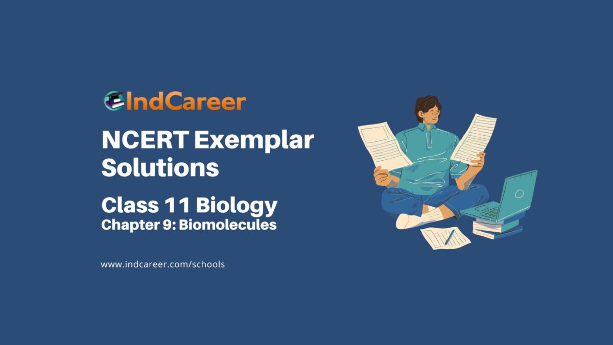 NCERT Exemplar Class 11 Biology Chapter 9: Biomolecules