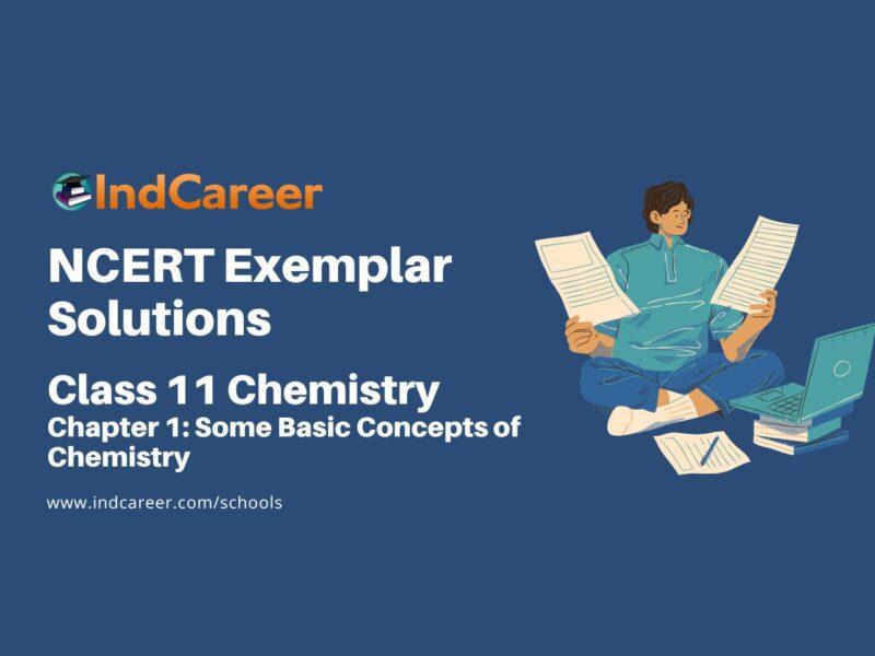 NCERT Exemplar Class 11 Chemistry Chapter 1: Some Basic Concepts of Chemistry