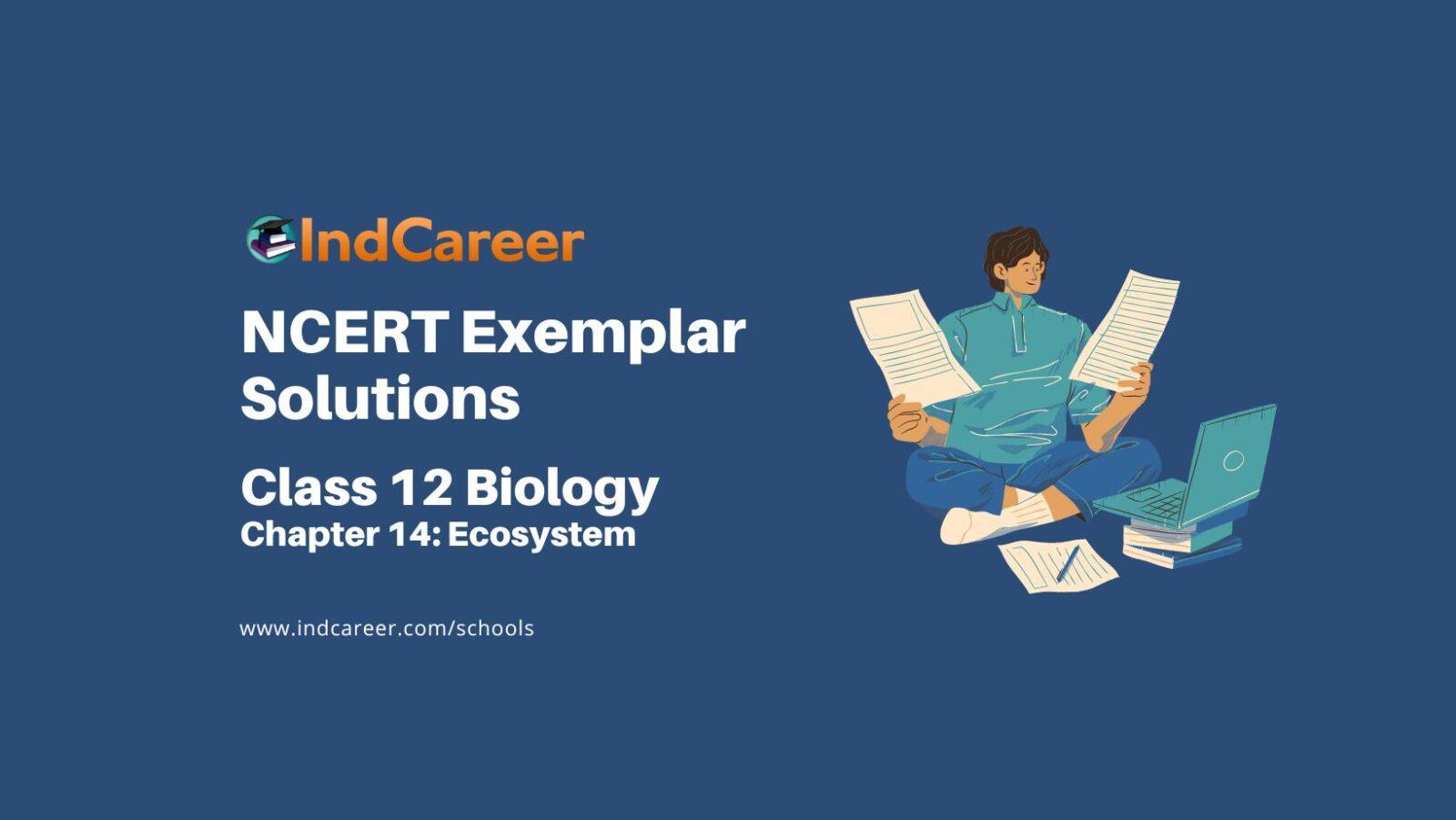 NCERT Exemplar Class 12 Biology Chapter 14: Ecosystem