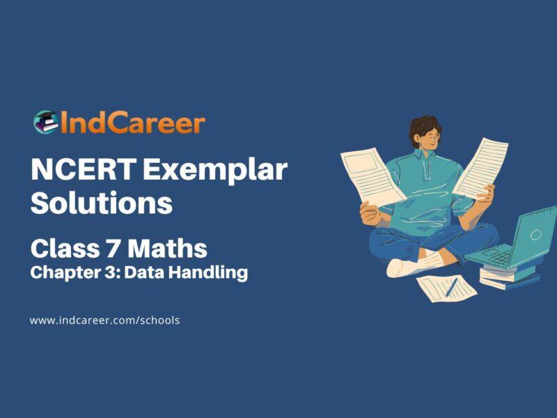 NCERT Exemplar Class 7 Maths Chapter 3: Data Handling